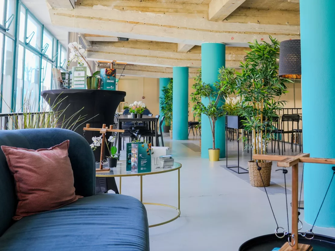 Eindhoven chairs